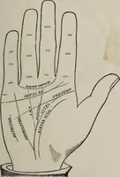 An illustration from Philosophic chiromancy. Mysteries of the hand revealed and explained: the art of determining, from an inspection of the hands, the person's temperature, appetites, passions, impulses, aspirations, mental endowments, character and tendencies (1879)