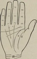 An illustration from Philosophic chiromancy. Mysteries of the hand revealed and explained: the art of determining, from an inspection of the hands, the person's temperature, appetites, passions, impulses, aspirations, mental endowments, character and tendencies (1879)