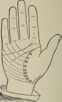 An illustration from Philosophic chiromancy. Mysteries of the hand revealed and explained: the art of determining, from an inspection of the hands, the person's temperature, appetites, passions, impulses, aspirations, mental endowments, character and tendencies (1879)