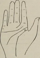 An illustration from Philosophic chiromancy. Mysteries of the hand revealed and explained: the art of determining, from an inspection of the hands, the person's temperature, appetites, passions, impulses, aspirations, mental endowments, character and tendencies (1879)