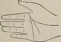 An illustration from Philosophic chiromancy. Mysteries of the hand revealed and explained: the art of determining, from an inspection of the hands, the person's temperature, appetites, passions, impulses, aspirations, mental endowments, character and tendencies (1879)