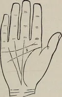 An illustration from Philosophic chiromancy. Mysteries of the hand revealed and explained: the art of determining, from an inspection of the hands, the person's temperature, appetites, passions, impulses, aspirations, mental endowments, character and tendencies (1879)