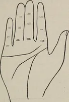 An illustration from Philosophic chiromancy. Mysteries of the hand revealed and explained: the art of determining, from an inspection of the hands, the person's temperature, appetites, passions, impulses, aspirations, mental endowments, character and tendencies (1879)