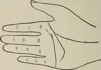 An illustration from Philosophic chiromancy. Mysteries of the hand revealed and explained: the art of determining, from an inspection of the hands, the person's temperature, appetites, passions, impulses, aspirations, mental endowments, character and tendencies (1879)