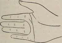 An illustration from Philosophic chiromancy. Mysteries of the hand revealed and explained: the art of determining, from an inspection of the hands, the person's temperature, appetites, passions, impulses, aspirations, mental endowments, character and tendencies (1879)