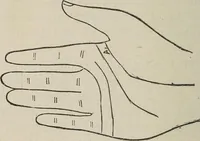 An illustration from Philosophic chiromancy. Mysteries of the hand revealed and explained: the art of determining, from an inspection of the hands, the person's temperature, appetites, passions, impulses, aspirations, mental endowments, character and tendencies (1879)