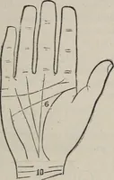 An illustration from Philosophic chiromancy. Mysteries of the hand revealed and explained: the art of determining, from an inspection of the hands, the person's temperature, appetites, passions, impulses, aspirations, mental endowments, character and tendencies (1879)