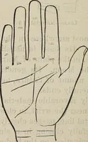 An illustration from Philosophic chiromancy. Mysteries of the hand revealed and explained: the art of determining, from an inspection of the hands, the person's temperature, appetites, passions, impulses, aspirations, mental endowments, character and tendencies (1879)