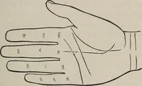 An illustration from Philosophic chiromancy. Mysteries of the hand revealed and explained: the art of determining, from an inspection of the hands, the person's temperature, appetites, passions, impulses, aspirations, mental endowments, character and tendencies (1879)