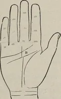 An illustration from Philosophic chiromancy. Mysteries of the hand revealed and explained: the art of determining, from an inspection of the hands, the person's temperature, appetites, passions, impulses, aspirations, mental endowments, character and tendencies (1879)