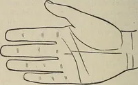 An illustration from Philosophic chiromancy. Mysteries of the hand revealed and explained: the art of determining, from an inspection of the hands, the person's temperature, appetites, passions, impulses, aspirations, mental endowments, character and tendencies (1879)