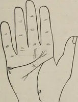 An illustration from Philosophic chiromancy. Mysteries of the hand revealed and explained: the art of determining, from an inspection of the hands, the person's temperature, appetites, passions, impulses, aspirations, mental endowments, character and tendencies (1879)