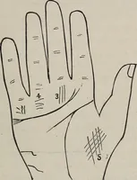 An illustration from Philosophic chiromancy. Mysteries of the hand revealed and explained: the art of determining, from an inspection of the hands, the person's temperature, appetites, passions, impulses, aspirations, mental endowments, character and tendencies (1879)