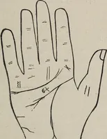 An illustration from Philosophic chiromancy. Mysteries of the hand revealed and explained: the art of determining, from an inspection of the hands, the person's temperature, appetites, passions, impulses, aspirations, mental endowments, character and tendencies (1879)