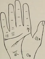 An illustration from Philosophic chiromancy. Mysteries of the hand revealed and explained: the art of determining, from an inspection of the hands, the person's temperature, appetites, passions, impulses, aspirations, mental endowments, character and tendencies (1879)