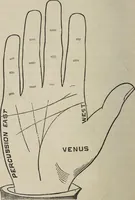 An illustration from Philosophic chiromancy. Mysteries of the hand revealed and explained: the art of determining, from an inspection of the hands, the person's temperature, appetites, passions, impulses, aspirations, mental endowments, character and tendencies (1879)