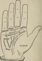 An illustration from Philosophic chiromancy. Mysteries of the hand revealed and explained: the art of determining, from an inspection of the hands, the person's temperature, appetites, passions, impulses, aspirations, mental endowments, character and tendencies (1879)
