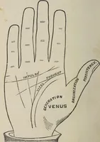 An illustration from Philosophic chiromancy. Mysteries of the hand revealed and explained: the art of determining, from an inspection of the hands, the person's temperature, appetites, passions, impulses, aspirations, mental endowments, character and tendencies (1879)