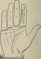 An illustration from Philosophic chiromancy. Mysteries of the hand revealed and explained: the art of determining, from an inspection of the hands, the person's temperature, appetites, passions, impulses, aspirations, mental endowments, character and tendencies (1879)