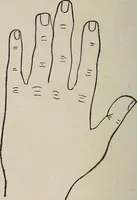 An illustration from Philosophic chiromancy. Mysteries of the hand revealed and explained: the art of determining, from an inspection of the hands, the person's temperature, appetites, passions, impulses, aspirations, mental endowments, character and tendencies (1879)