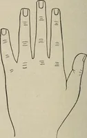 An illustration from Philosophic chiromancy. Mysteries of the hand revealed and explained: the art of determining, from an inspection of the hands, the person's temperature, appetites, passions, impulses, aspirations, mental endowments, character and tendencies (1879)