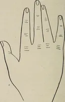 An illustration from Philosophic chiromancy. Mysteries of the hand revealed and explained: the art of determining, from an inspection of the hands, the person's temperature, appetites, passions, impulses, aspirations, mental endowments, character and tendencies (1879)