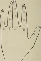 An illustration from Philosophic chiromancy. Mysteries of the hand revealed and explained: the art of determining, from an inspection of the hands, the person's temperature, appetites, passions, impulses, aspirations, mental endowments, character and tendencies (1879)