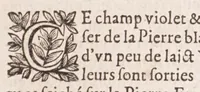 An illustration from Philosophie naturelle de trois anciens philosophes renommez : Artephius, Flamel, & Synesius, traitant de l'art occulte, & de la transmutation metallique (1682)