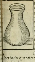 Picture 34 of 68 from Coelvm philosophorvm, sev, Liber de secretis naturae (1553), leaf 134