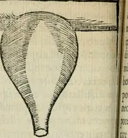 An illustration from Coelvm philosophorvm, sev, Liber de secretis naturae (1553)