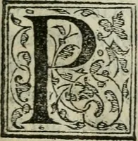 Picture 3 of 68 from Coelvm philosophorvm, sev, Liber de secretis naturae (1553), leaf 16