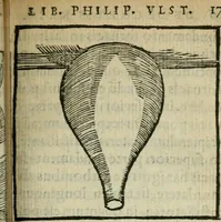 Picture 44 of 68 from Coelvm philosophorvm, sev, Liber de secretis naturae (1553), leaf 178