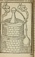 An illustration from Coelvm philosophorvm, sev, Liber de secretis naturae (1553)
