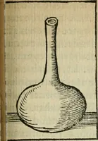 Picture 49 of 68 from Coelvm philosophorvm, sev, Liber de secretis naturae (1553), leaf 216
