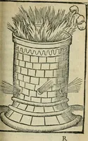 Picture 53 of 68 from Coelvm philosophorvm, sev, Liber de secretis naturae (1553), leaf 260