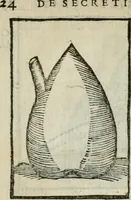 Picture 7 of 68 from Coelvm philosophorvm, sev, Liber de secretis naturae (1553), leaf 27