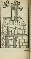 An illustration from Coelvm philosophorvm, sev, Liber de secretis naturae (1553)