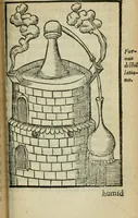 Picture 58 of 68 from Coelvm philosophorvm, sev, Liber de secretis naturae (1553), leaf 290