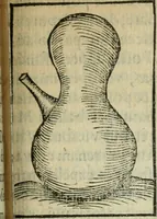 Picture 59 of 68 from Coelvm philosophorvm, sev, Liber de secretis naturae (1553), leaf 298