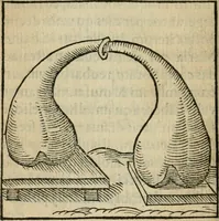 An illustration from Coelvm philosophorvm, sev, Liber de secretis naturae (1553)