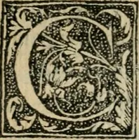 An illustration from Coelvm philosophorvm, sev, Liber de secretis naturae (1553)