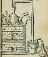 An illustration from Coelvm philosophorvm, sev, Liber de secretis naturae (1553)