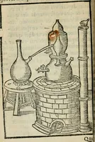 Picture 21 of 68 from Coelvm philosophorvm, sev, Liber de secretis naturae (1553), leaf 85