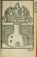 Picture 24 of 68 from Coelvm philosophorvm, sev, Liber de secretis naturae (1553), leaf 96