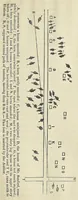 An illustration from The philosophy of storms (1841)