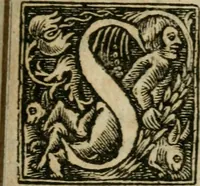 Picture 6 of 9 from Philosophy reformed & improved in four profound tractates : the I. discovering the great and deep mysteries of nature (1657), leaf 274