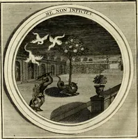 Picture 12 of 90 from Meteorologia philosophico-politica : in duodecim dissertationes per quaestiones meteorologicas & conclusiones politicas divisa, appositisque symbolis illustrata ... (1698), leaf 39