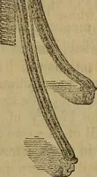 Picture 23 of 34 from The Photographic art-journal (1851), leaf 272