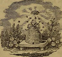 Picture 16 of 17 from The Photographic art-journal (1851), leaf 317