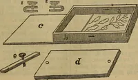 Picture 17 of 17 from The Photographic art-journal (1851), leaf 320